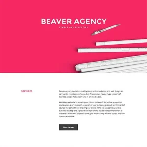 beaver agency template.jpg